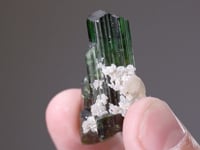TOURMALINE (Vanadian Dravite)