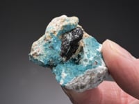 TURQUOISE