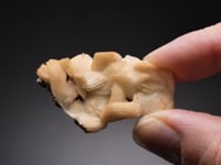 CALCITE