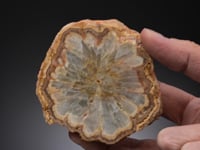 BARYTE   Cut Stalactite