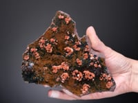 QUARTZ (EISENKIESEL) on HEMATITE