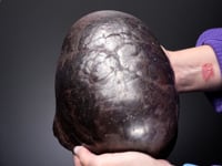 HEMATITE   var. Kidney Ore