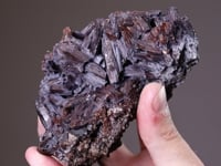 PYROMORPHITE with CORONADITE