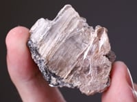 LEITEITE