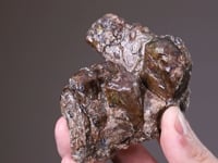 BUSTAMITE