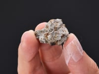Olivine - Hypersthene Chondrite    Meteorite