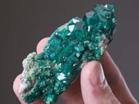 DIOPTASE  with DUFTITE-CONICHALCITE