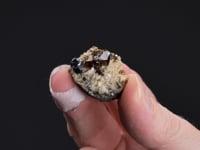 SPHALERITE with GALENA  on DOLOMITE