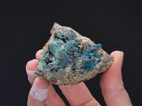 CALEDONITE with LANARKITE  and SCOTLANDITE