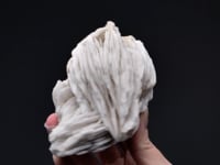 BARYTE   with GALENA