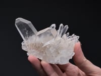 QUARTZ   Japan-Law Twin