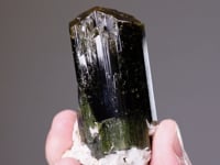 TOURMALINE
