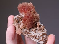 INSESITE