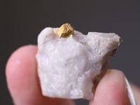 NATIVE GOLD