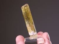TOURMALINE