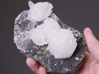 CALCITE