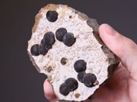 SIDERITE  Var SPHÄROSIDERITE