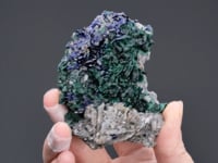 AZURITE with MALACHITE  and ANGLESITE