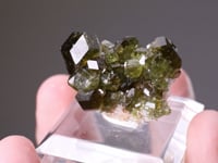 UVITE TOURMALINE group