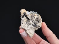 FLUORAPATITE   with FLUORITE