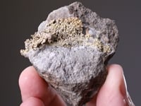 NATIVE GOLD