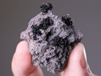 TENORITE