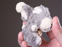 SCHOLZITE