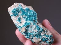 DEVILLINE