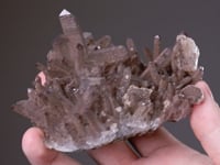 SMOKY QUARTZ (Japan-Law Twin)