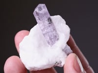 SCAPOLITE