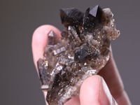 SMOKY QUARTZ (Japan-Law Twin) with PYRITE