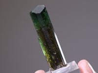 TOURMALINE (Chrome Dravite)