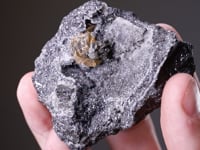 DIAPHORITE