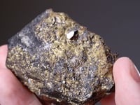 SPERRYLITE in CHALCOPYRITE