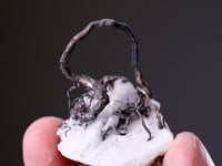 NATIVE SILVER