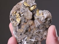 GOLD
