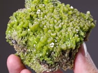 PYROMORPHITE