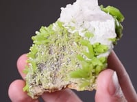 PYROMORPHITE with CERUSSITE