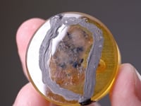 HERZENBERGITE polished section