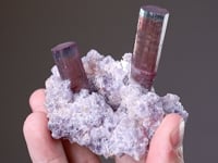 ELBAITE with Lepidolite