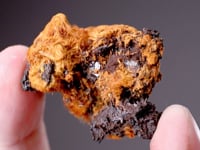 LUDLOCKITE with SCHNEIDERHÖHNITE