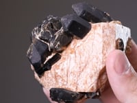 ORTHOCLASE with  TOURMALINE group  and  QUARTZ var. SMOKY QUARTZ
