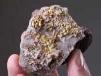 NATIVE GOLD with QUARTZ