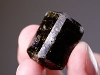 WILUITE