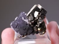 FLUORITE with PYRITE  and CHALCOPYRITE
