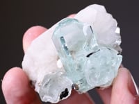 BERYL var. Aquamarine with  MUSCOVITE and Tourmaline on Feldspar