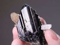 FERBERITE with QUARTZ  and  PYRITE