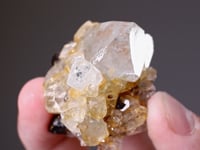 TOPAZ with Smoky QUARTZ