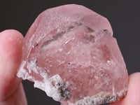 BERYL var. Morganite