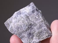 SPURRITE